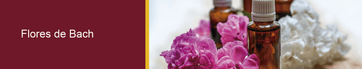 Centro Podológico Clinica del Pie Macul