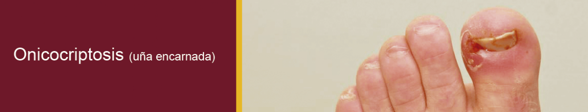 Centro Podológico Clinica del Pie Macul